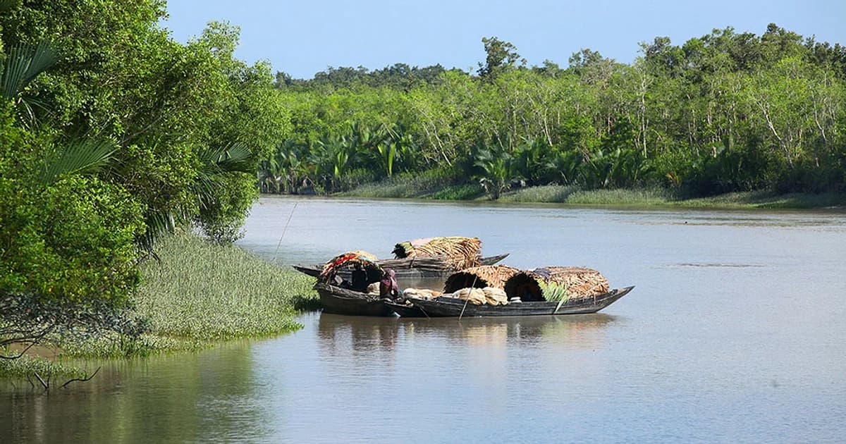 Image for Sundarbon, Bangladesh