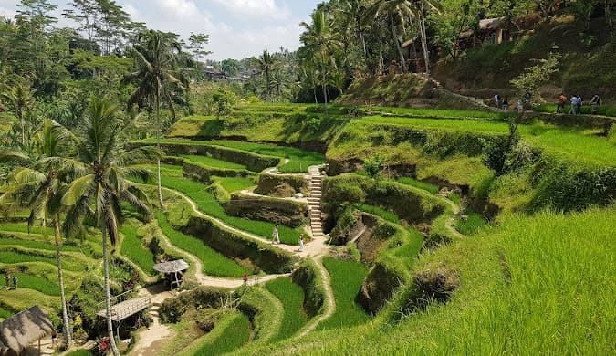 Image for Bali, Indonesia